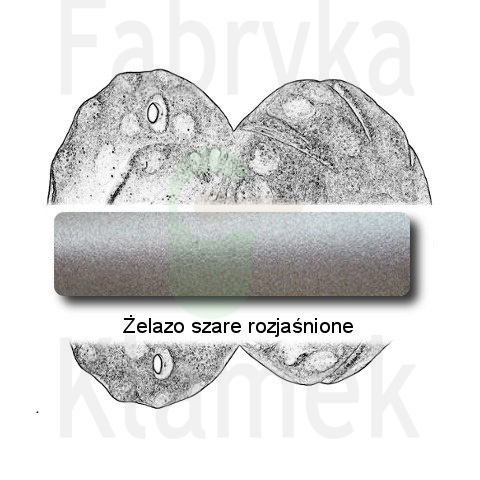 żelazo szare rozjaśnione żelazo szare rozjaśnione