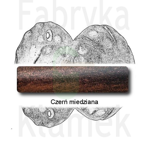 czerń miedziana czerń miedziana