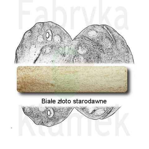 białe złoto starodawne białe złoto starodawne
