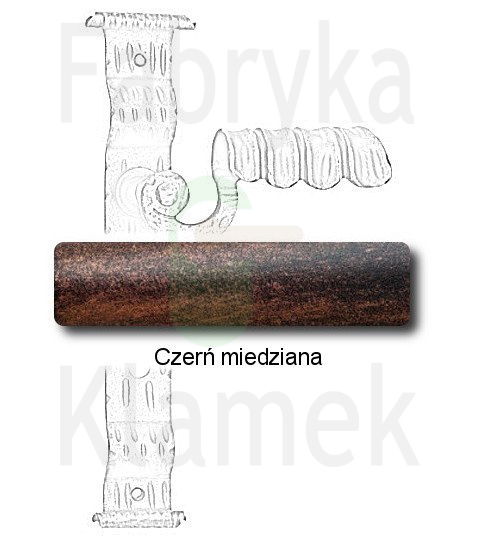 czerń miedziana czerń miedziana