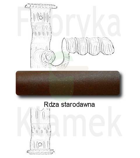 rdza starodawna rdza starodawna